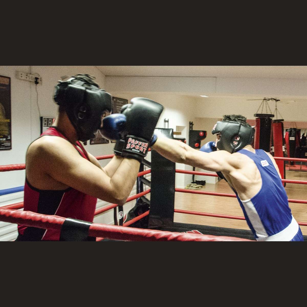 Paffen Sport Kibo Fight, Boxhandschuhe, 100% Leder. In blau
